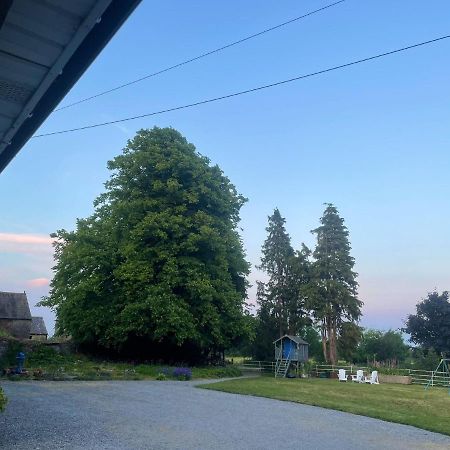 Cooper Hill Villa Carlow Eksteriør bilde